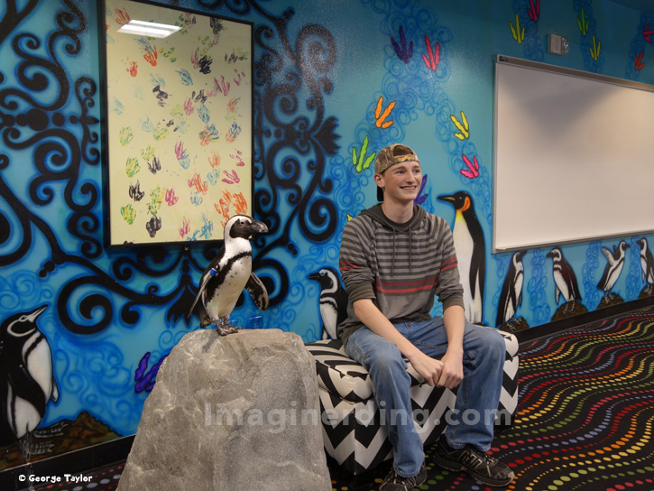 Ripley's Penguin Encounter Review