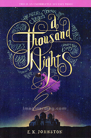 Sesame Place and Disney Books A Thousand Nights Johnston