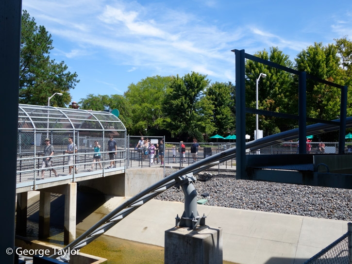 Kings-Dominion-roller-coasters-14