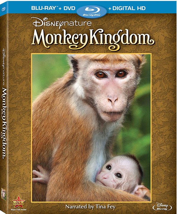 Monkey Kingdom