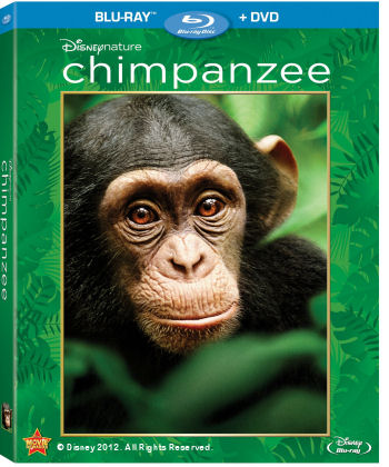 disneynature-chimpanzee