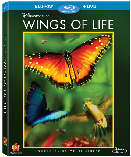 wings-of-life