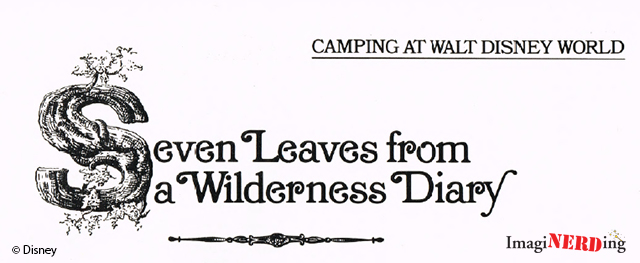 fort wilderness camping