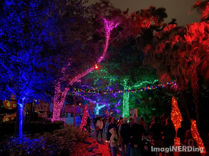 holiday lights in the trees at Busch Gardens Tampa 2019