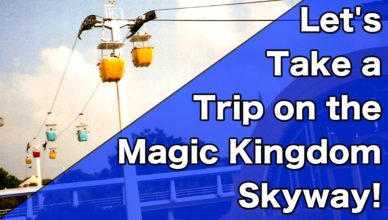 let's take a trip on the magic kingdom skyway