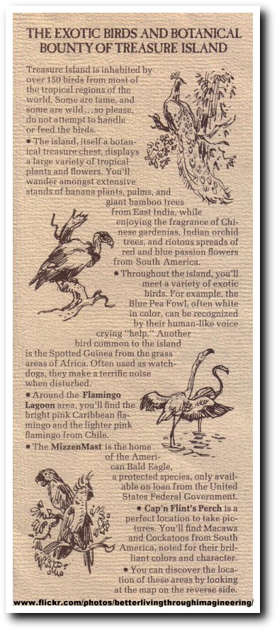 treasure_island_description_birds