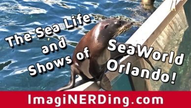 seaward orlando shows and animals