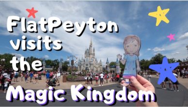 flat peyton-flat-stanley-visits-the-magic-kingdom