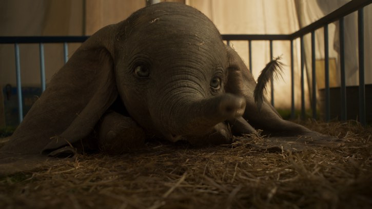 still from the live-action dumbo