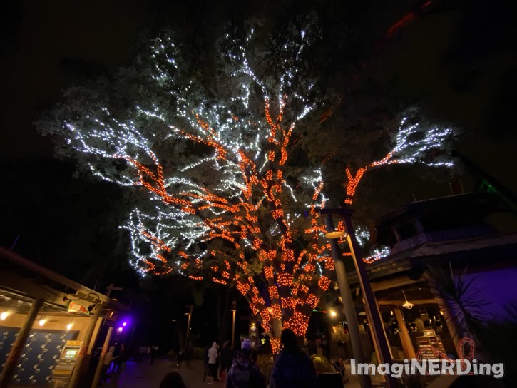 Tigirs themes tree at Busch Gardens Tampa 2019