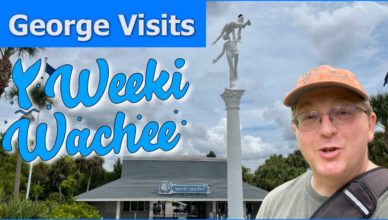 Featured image for Weeki Wachee post