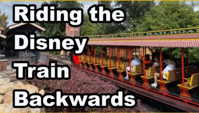 Walt Disney World Railroad 2025 in reverse