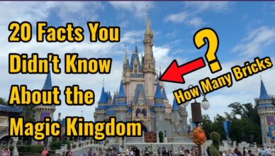 20 magic kingdom facts image