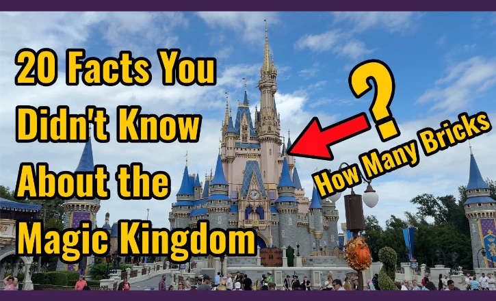 20 magic kingdom facts image